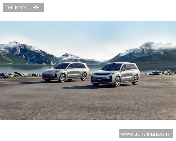 汽车租赁行业发展趋势分析及未来展望